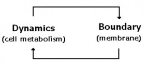 Dunamics-Boundary
