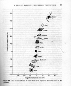 Scale-of-Sizes-within-the-Universe